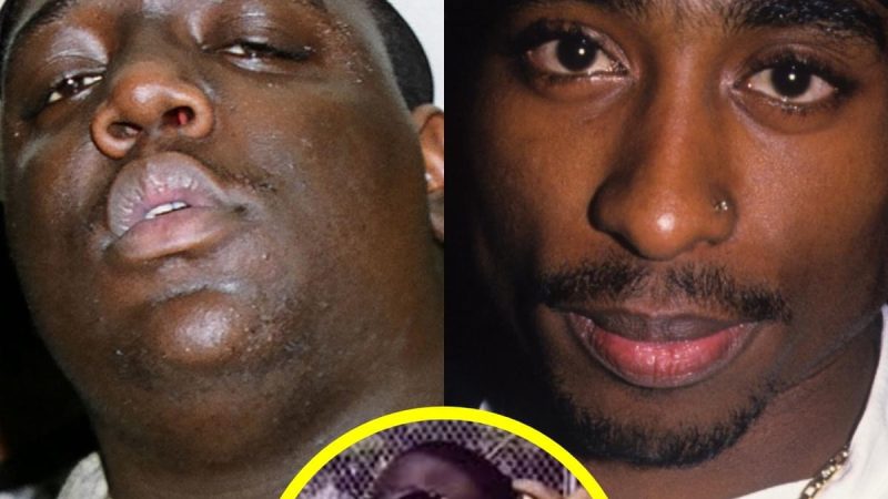 ‘The rap game would probably be way different if Pac and Biggie were still alive…’: Biggie’s Very Last Interview On Tupac’s Mυrder & Meaning Of “Life After Death” Album