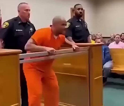 Man Attacks Judge After She Sentences Him to 456… see more